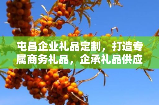 屯昌企业礼品定制，打造专属商务礼品，企承礼品供应链助力企业实现完美定制