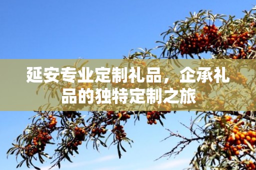 延安专业定制礼品，企承礼品的独特定制之旅