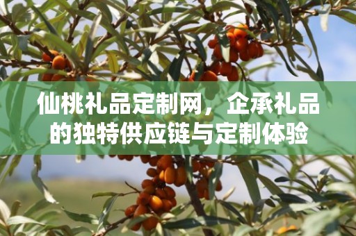 仙桃礼品定制网，企承礼品的独特供应链与定制体验