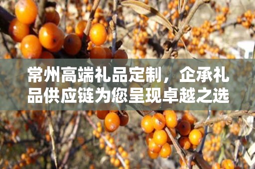 常州高端礼品定制，企承礼品供应链为您呈现卓越之选