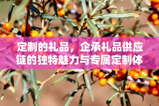 定制的礼品，企承礼品供应链的独特魅力与专属定制体验